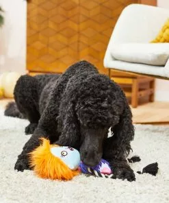 Frisco Zombie Girl Plush with Rope Squeaky Dog Toy -Dog Cat Corner 218571 PT6. SY630 V1597599373