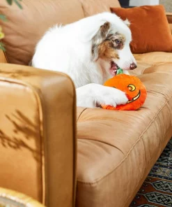 Frisco Halloween Pumpkin Round Plush Squeaky Dog Toy -Dog Cat Corner 218583 PT6. SY630 V1597599386