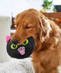 Frisco Black Cat Round Plush Squeaky Dog Toy -Dog Cat Corner 218587 PT6. SY630 V1597599384