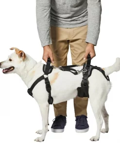 Frisco Front & Rear Lift Handicapped Support Dog Harness -Dog Cat Corner 220369 PT5. SY630 V1605751028
