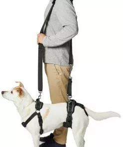 Frisco Front & Rear Lift Handicapped Support Dog Harness -Dog Cat Corner 220369 PT6. SY630 V1605751956