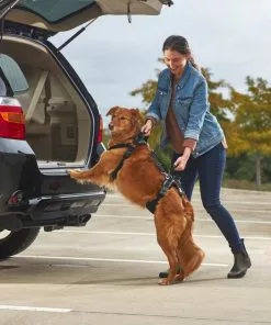 Frisco Front & Rear Lift Handicapped Support Dog Harness -Dog Cat Corner 220369 PT7. SY630 V1605754629