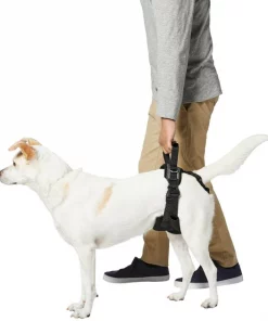 Frisco Rear Lift Handicapped Support Dog Harness -Dog Cat Corner 220374 PT5. SY630 V1605743213