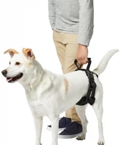 Frisco Rear Lift Handicapped Support Dog Harness -Dog Cat Corner 220374 PT6. SY630 V1605755228