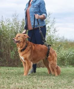 Frisco Rear Lift Handicapped Support Dog Harness -Dog Cat Corner 220374 PT7. SY630 V1605754619