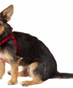 Frisco Nylon Step In Back Clip Dog Harness 9 Frisco Nylon Step In Back Clip Dog Harness -Dog Cat Corner 220505 PT2. SY630 V1605571047