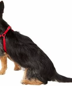 Frisco Nylon Step In Back Clip Dog Harness 10 Frisco Nylon Step In Back Clip Dog Harness -Dog Cat Corner 220505 PT3. SY630 V1605579490