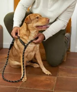 Frisco Reflective Rope Slip Lead Dog Leash -Dog Cat Corner 221212 PT4. SY630 V1602862584