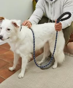 Frisco Rope Dog Leash with Padded Handle -Dog Cat Corner 221216 PT4. SY630 V1602862576