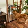 Frisco Wood Accents Extra Tall Auto-close Dog Gate, 41-in 2 Frisco Wood Accents Extra Tall Auto-close Dog Gate, 41-in -Dog Cat Corner 221968 MAIN. SY630 V1595281859