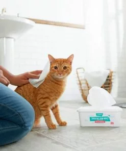 Frisco Sensitive Skin Waterless Grooming Wipes with Aloe and Honeysuckle for Dogs & Cats, 100 count -Dog Cat Corner 222143 PT2. SY630 V1602825989
