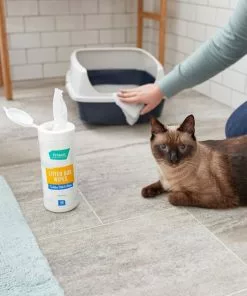 Frisco Litter Box Cleaning Wipes, 40 count 8 Frisco Litter Box Cleaning Wipes, 40 count -Dog Cat Corner 222147 PT2. SY630 V1602826294