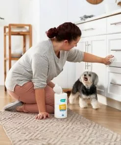 Frisco Vinegar Cleaning Wipes, 70 count -Dog Cat Corner 222151 PT4. SY630 V1602847932