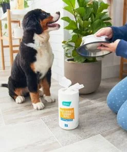 Frisco Pet Toy & Bowl Cleaning Wipes, 70 count -Dog Cat Corner 222153 PT1. SY630 V1602814581