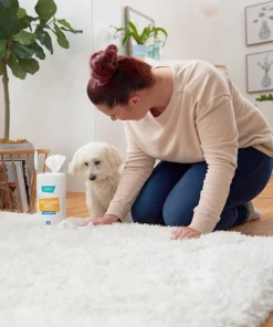 Frisco Spot Cleaning Wipes, 70 count 7 Frisco Spot Cleaning Wipes, 70 count -Dog Cat Corner 222155 PT1. SY630 V1602845808