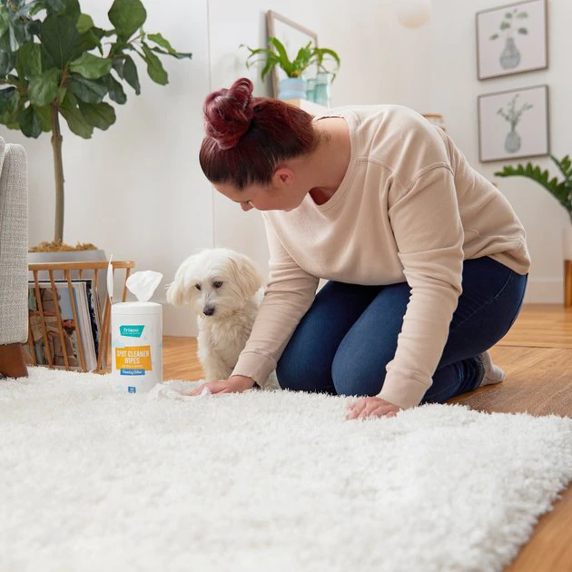 Frisco Spot Cleaning Wipes, 70 count 4 Frisco Spot Cleaning Wipes, 70 count - Image 2