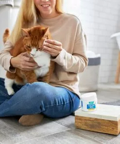 Frisco Tear Stain Eye Wipes for Puppies & Kittens, 45 count -Dog Cat Corner 222171 PT2. SY630 V1602846989