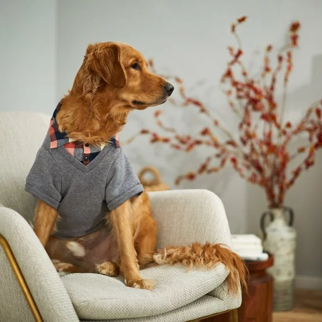 Frisco Plaid Dog & Cat Sweatshirt 8 Frisco Plaid Dog & Cat Sweatshirt - Image 6