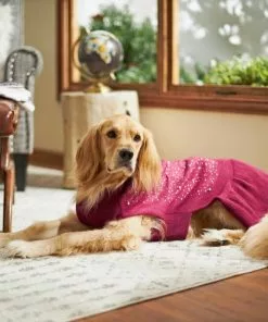 Frisco Faux Crystal & Pearl Dog & Cat Sweater Dress -Dog Cat Corner 223717 PT7. SY630 V1599564978