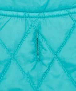 Frisco Packable Lightweight Gradient Insulated Dog & Cat Jacket -Dog Cat Corner 223909 PT5. SY630 V1599571263