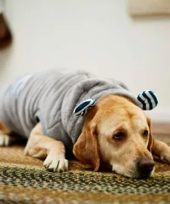 Frisco Plush Hooded Insulated Dog & Cat Coat -Dog Cat Corner 223969 PT7. SY630 V1601579213