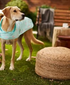 Frisco Flamingo Dog Raincoat 13 Frisco Flamingo Dog Raincoat -Dog Cat Corner 224065 PT7. SY630 V1614985901