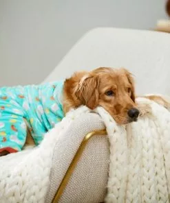 Frisco Sea Creatures Dog & Cat Cozy Fleece PJs -Dog Cat Corner 224104 PT7. SY630 V1599565898