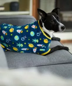 Frisco Outer Space Dog & Cat Cozy Fleece PJs -Dog Cat Corner 224125 PT7. SY630 V1599923554