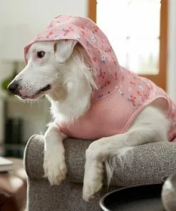 Frisco Floral Dog & Cat Hoodie 16 Frisco Floral Dog & Cat Hoodie -Dog Cat Corner 224217 PT6. SY630 V1637651830