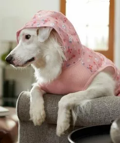 Frisco Floral Dog & Cat Hoodie 17 Frisco Floral Dog & Cat Hoodie -Dog Cat Corner 224217 PT8. SY630 V1607568448