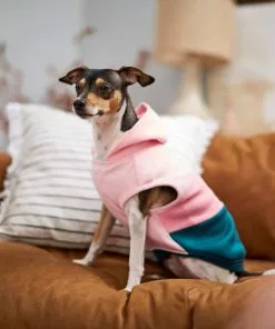 Frisco Colorblock Dog & Cat Sleeveless Hoodie 17 Frisco Colorblock Dog & Cat Sleeveless Hoodie -Dog Cat Corner 224258 PT7. SY630 V1599924135