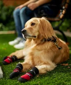 Frisco Anti-Slip Extended Cuff Length Dog Boots -Dog Cat Corner 224374 PT7. SY630 V1601577663