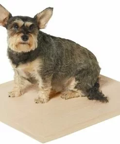 Frisco Large Eco-Conscious Dog Training & Potty Pads, 22 x 23-in, Unscented 8 Frisco Large Eco-Conscious Dog Training & Potty Pads, 22 x 23-in, Unscented -Dog Cat Corner 227438 PT1. SY630 V1604674354