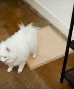 Frisco Large Eco-Conscious Dog Training & Potty Pads, 22 x 23-in, Unscented 11 Frisco Large Eco-Conscious Dog Training & Potty Pads, 22 x 23-in, Unscented -Dog Cat Corner 227438 PT6. SY630 V1604701050