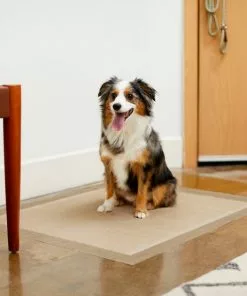 Frisco Extra Large Eco-Conscious Dog Training & Potty Pads, 28 x 34-in, Unscented -Dog Cat Corner 227441 PT6. SY630 V1604700713