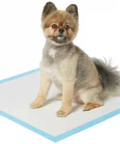 Frisco Non-Skid Ultra Premium Dog Training & Potty Pads, 22 x 23-in -Dog Cat Corner 227447 PT1. SY630 V1604674367