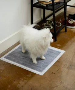 Frisco Charcoal Dog Training & Potty Pads, 22 x 23-in, Unscented -Dog Cat Corner 227456 PT6. SY630 V1604701986