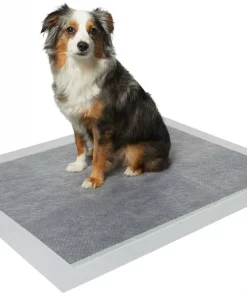 Frisco Extra Large Charcoal Dog Training & Potty Pads, 28 x 34-in, Unscented -Dog Cat Corner 227459 PT1. SY630 V1604674349