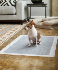 Frisco Giant Charcoal Dog Training & Potty Pads, 27.5 x 44-in, Unscented 11 Frisco Giant Charcoal Dog Training & Potty Pads, 27.5 x 44-in, Unscented -Dog Cat Corner 227462 PT6. SY630 V1604701065