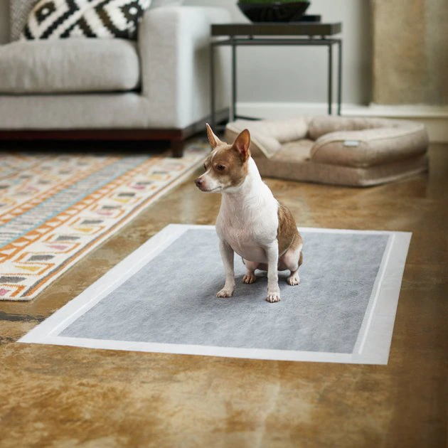 Frisco Giant Charcoal Dog Training & Potty Pads, 27.5 x 44-in, Unscented 7 Frisco Giant Charcoal Dog Training & Potty Pads, 27.5 x 44-in, Unscented - Image 5