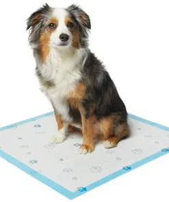 Frisco Printed Dog Training & Potty Pads, 22 x 23-in, Unscented -Dog Cat Corner 227465 PT1. SY630 V1604673405