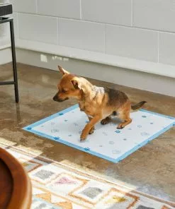 Frisco Printed Dog Training & Potty Pads, 22 x 23-in, Unscented -Dog Cat Corner 227465 PT6. SY630 V1604701913