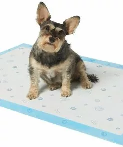 Frisco Giant Printed Dog Training & Potty Pads, 27.5 x 44-in, Unscented -Dog Cat Corner 227471 PT1. SY630 V1604673531