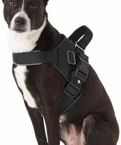Frisco Big Dog Harness -Dog Cat Corner 227874 PT4. SY630 V1603409794