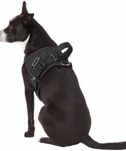 Frisco Big Dog Harness -Dog Cat Corner 227874 PT5. SY630 V1603417907