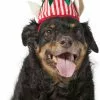Frisco Holiday Elf Dog & Cat Hat -Dog Cat Corner 228841 MAIN. SY630 V1601299302