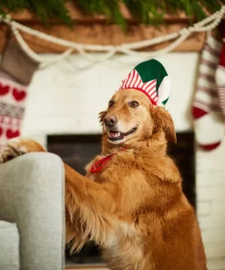 Frisco Holiday Elf Dog & Cat Hat -Dog Cat Corner 228841 PT7. SY630 V1601301412