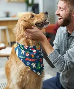 Frisco Holiday & New Years Dog & Cat Bandana, 2 pack -Dog Cat Corner 228983 PT6. SY630 V1637659015