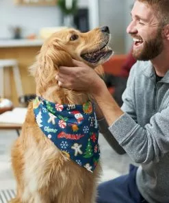 Frisco Holiday & New Years Dog & Cat Bandana, 2 pack -Dog Cat Corner 228983 PT7. SY630 V1601637677