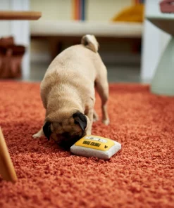 Frisco Retro Cassette Dense Foam Squeaky Dog Toy 7 Frisco Retro Cassette Dense Foam Squeaky Dog Toy -Dog Cat Corner 230296 PT3. SY630 V1601946962